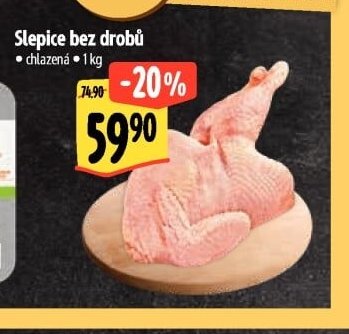 Slepice bez drobů