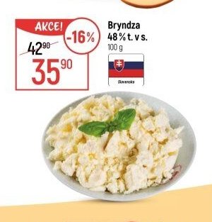 Bryndza 48 % t. v s.