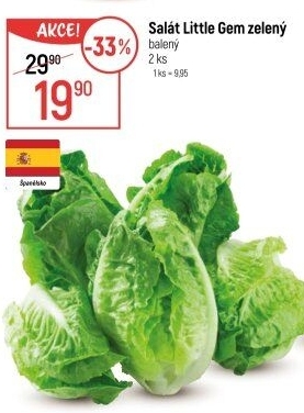 Salát little gem