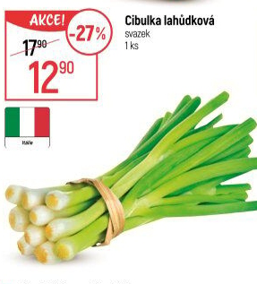 Jarní cibule svazek