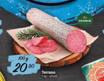 Terrano
