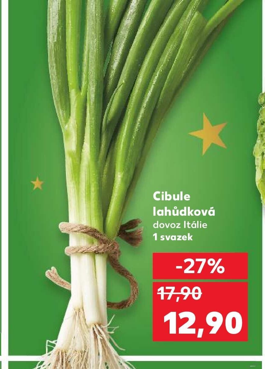 Cibule lahůdková