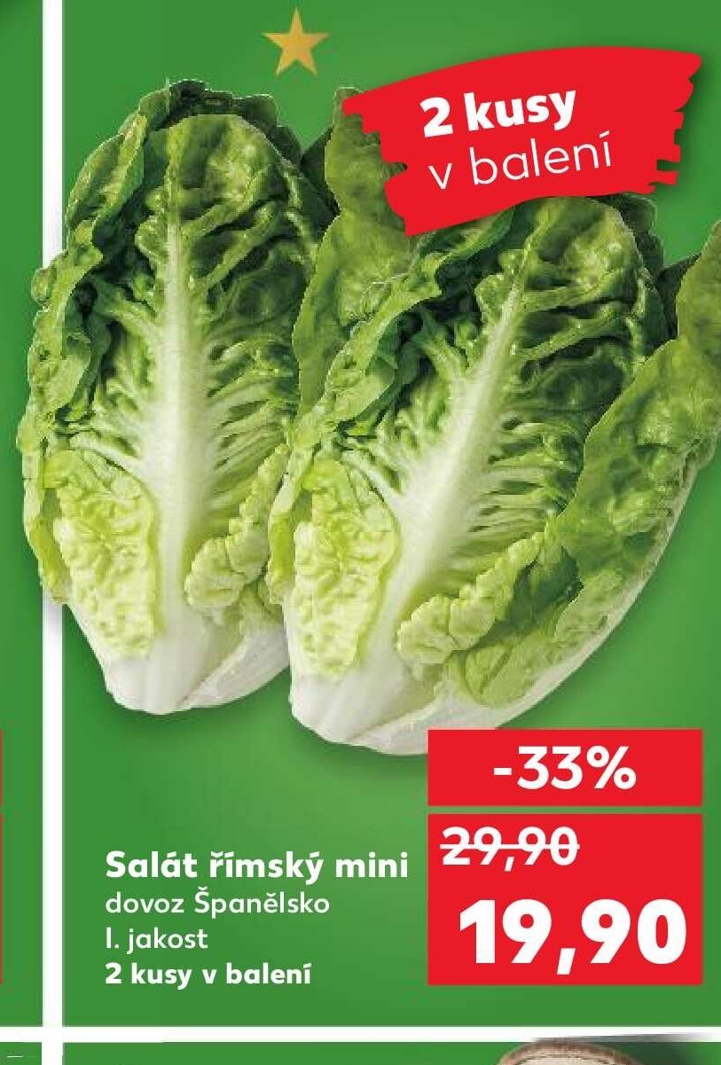 Salát římský mini