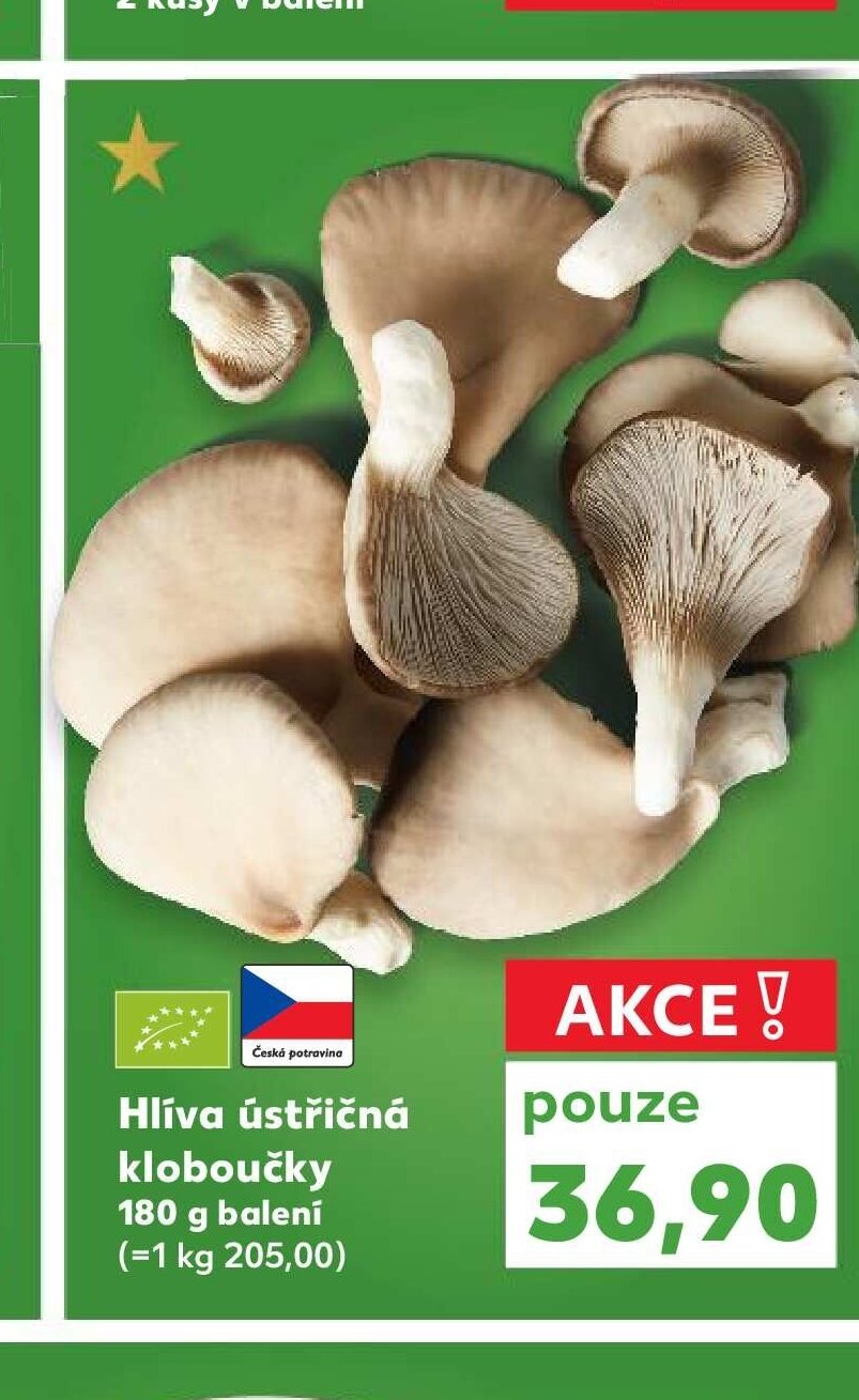 Hlíva ústřičná kloboučky