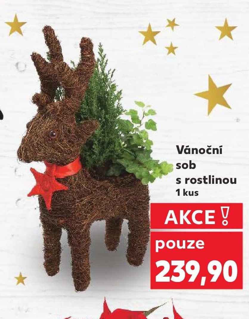 Vánoční sob s rostlinou
