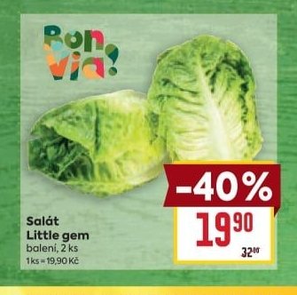 Salát Little gem