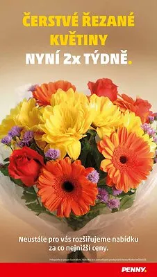 akční leták Penny Market 4.12.2025-10.12.2025