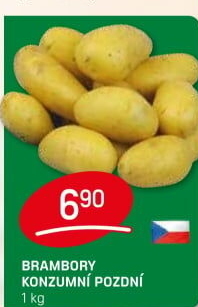 Brambory konzumní pozdní