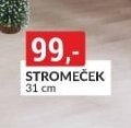 Stromek (31 cm)