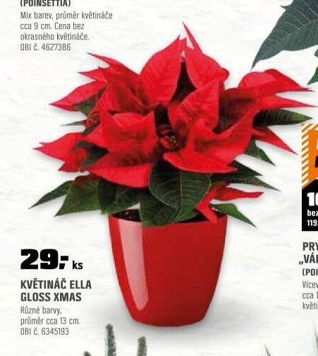KVĚTINÁČ ELLA GLOSS XMAS