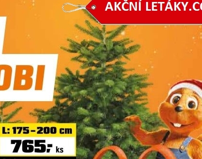 Jedle Nordmannstandard řezaná