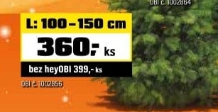 Jedle Nordmannstandard řezaná