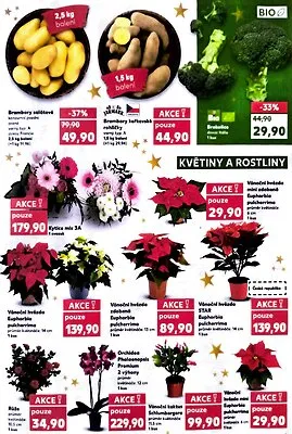 akční leták Kaufland 10.12.2025-16.12.2025