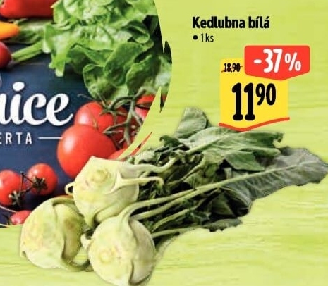 Kedlubna bílá