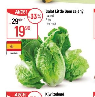 Salát Little Gem zelený