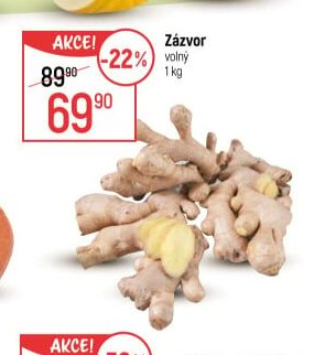 Zázvor