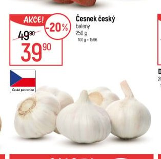 Česnek český