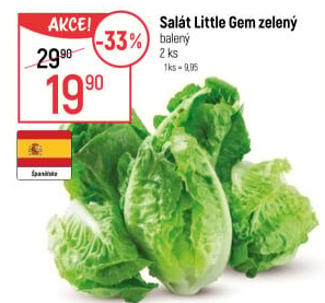 Salát little gem