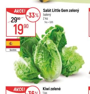 Salát Little Gem zelený