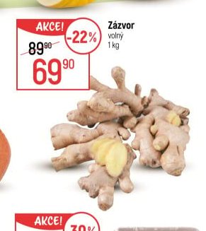 Zázvor