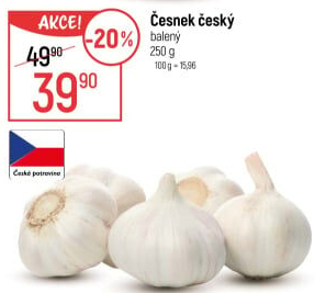 Česnek český