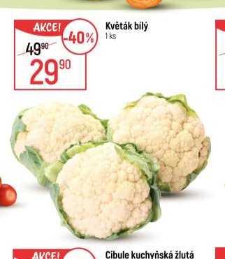 Květák bílý