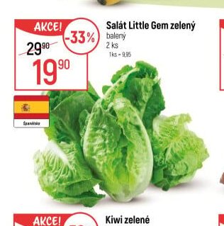 Salát Little Gem zelený