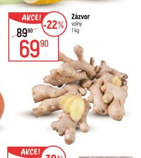 Zázvor