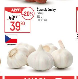 Česnek český