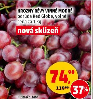 Hrozny modré