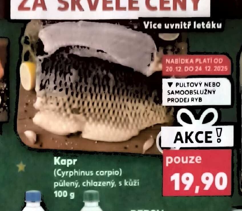 Kapr