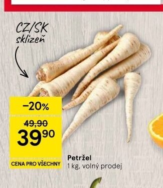 Petržel