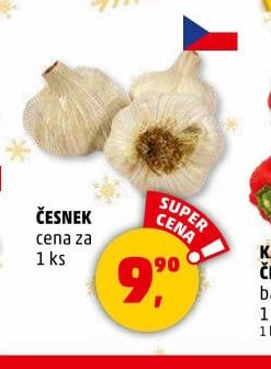 Česnek
