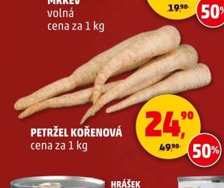 Petržel kořenová