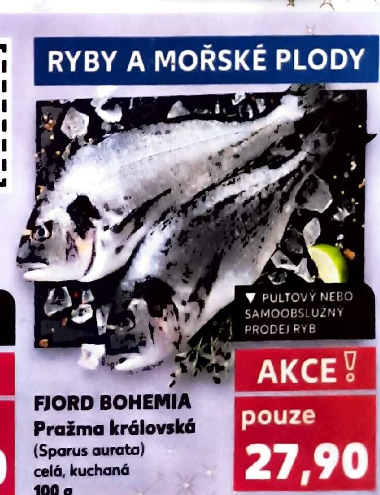 FJORD BOHEMIA Pražma královská