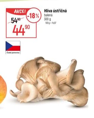 Hlíva ústřičná