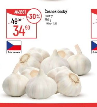 Česnek český