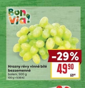 Hrozny révy vinné bílé bezsemenné