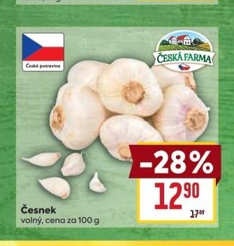 Česnek