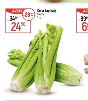 Celer řapíkatý