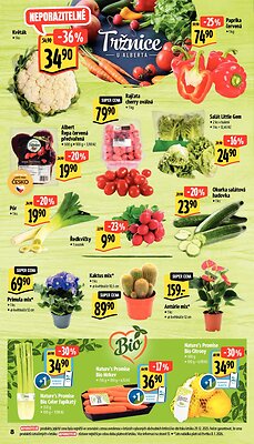 akční leták Albert 7.1.2026-13.1.2026