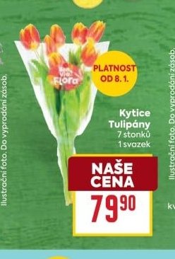 Kytice Tulipány