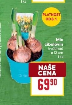 Mix cibulovin