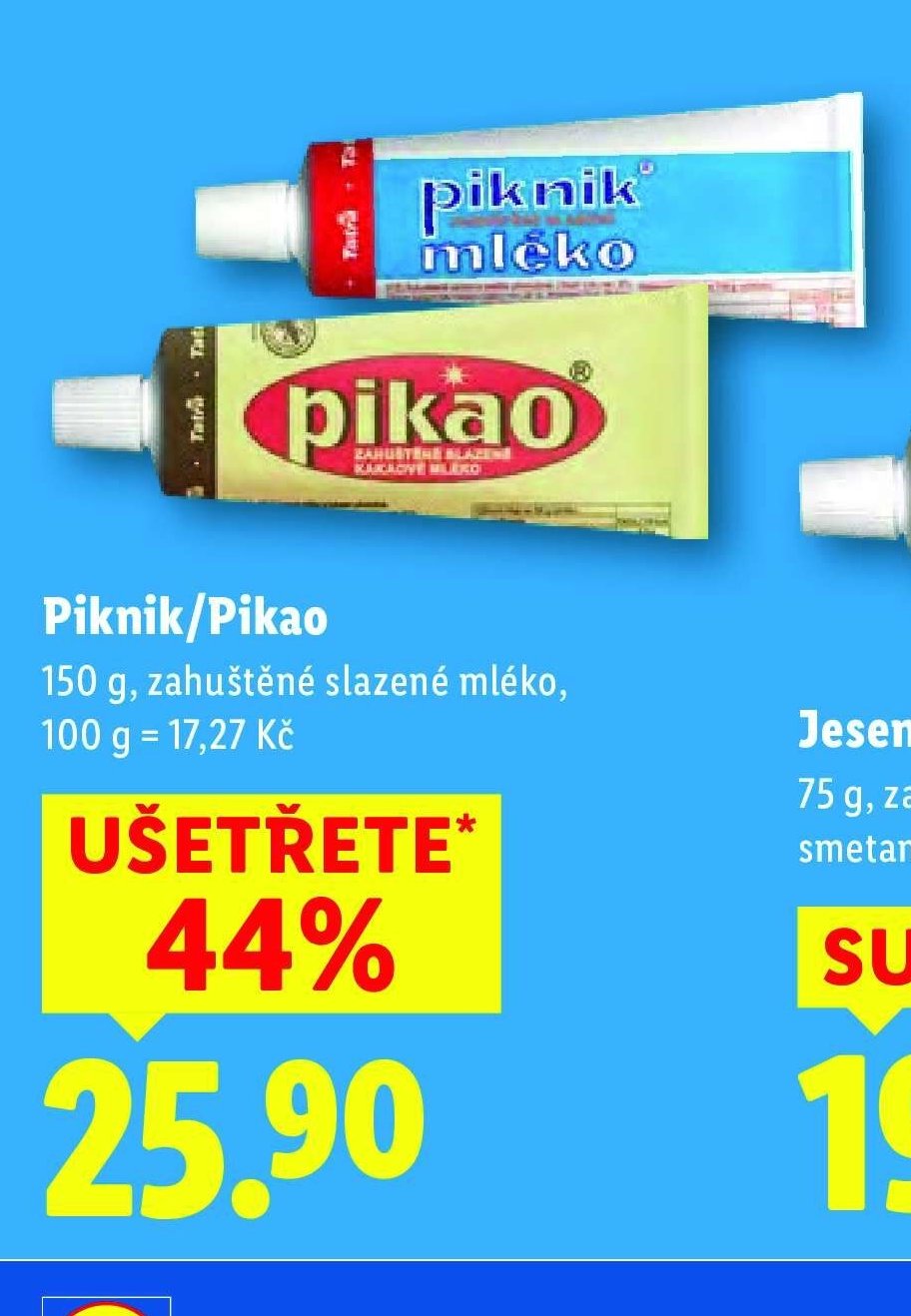Piknik/Pikao