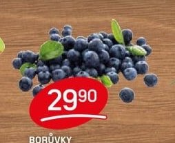 BORŮVKY