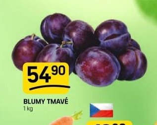 Blumy tmavé