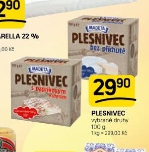 PLESNIVEC