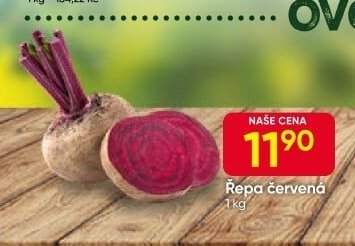 Řepa červená
