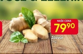 Zázvor