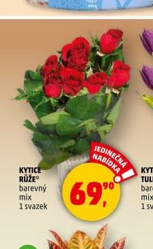 KYTICE RŮŽE